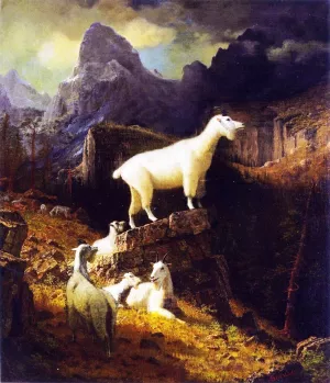 Rocky Mountain Goats by Oil Painting Reproduction